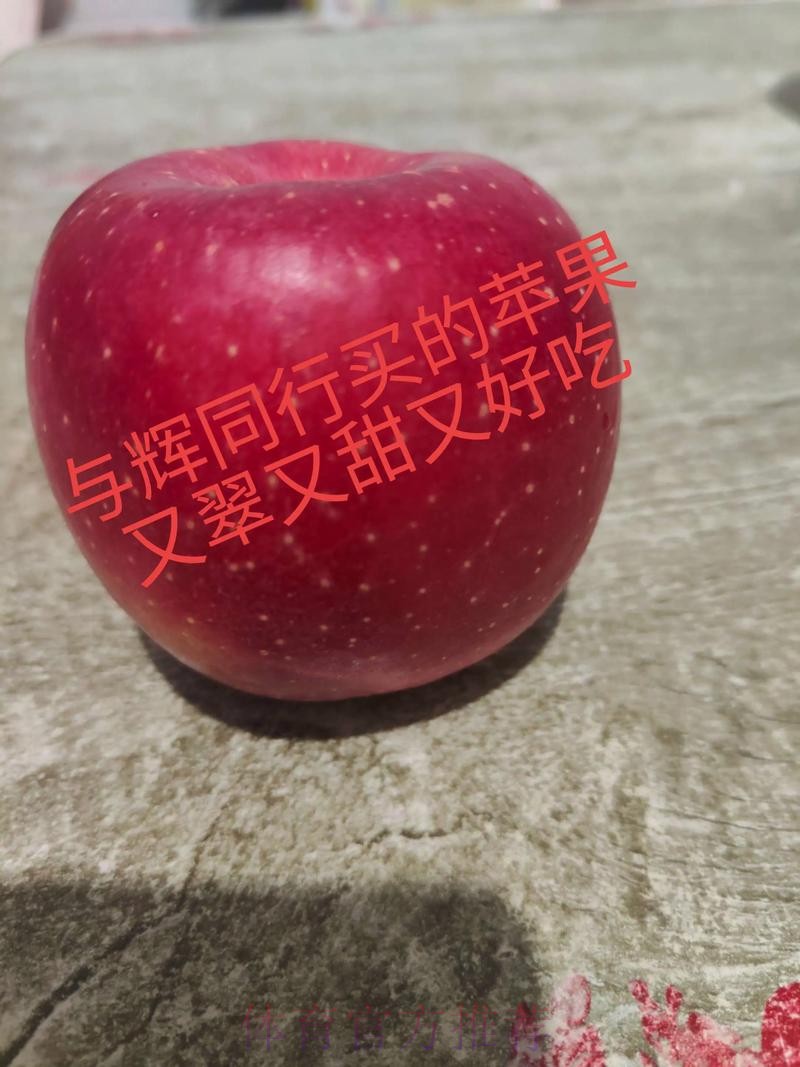 世界杯直播苹果